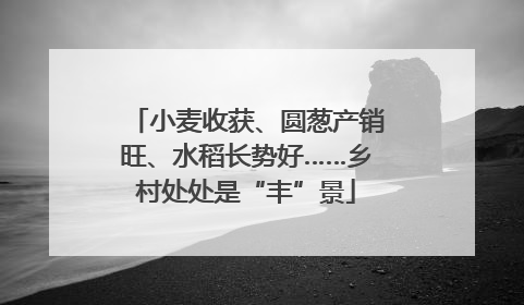 小麦收获、圆葱产销旺、水稻长势好……乡村处处是“丰”景