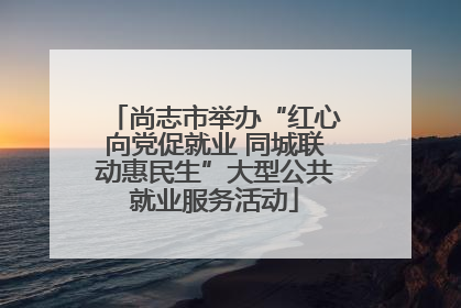 尚志市举办“红心向党促就业 同城联动惠民生”大型公共就业服务活动