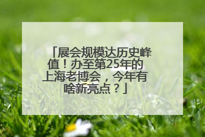 展会规模达历史峰值！办至第25年的上海老博会，今年有啥新亮点？