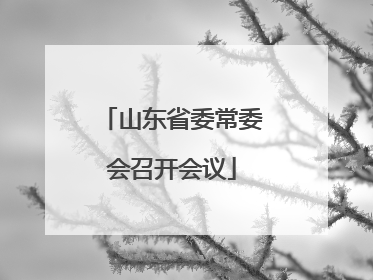 山东省委常委会召开会议