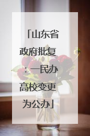 山东省政府批复：一民办高校变更为公办
