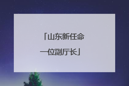 山东新任命一位副厅长