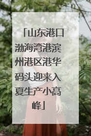 山东港口渤海湾港滨州港区港华码头迎来入夏生产小高峰