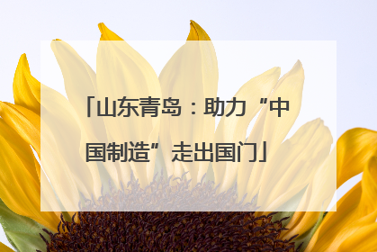 山东青岛：助力“中国制造”走出国门