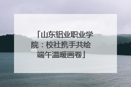 山东铝业职业学院：校社携手共绘端午温暖画卷