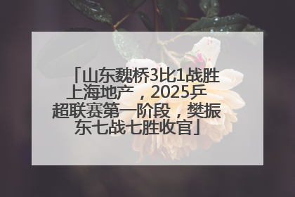 山东魏桥3比1战胜上海地产，2025乒超联赛第一阶段，樊振东七战七胜收官