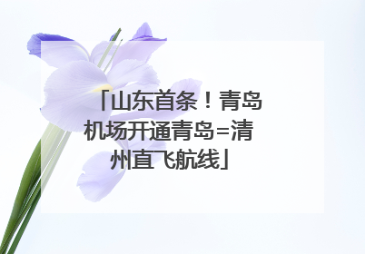山东首条！青岛机场开通青岛=清州直飞航线