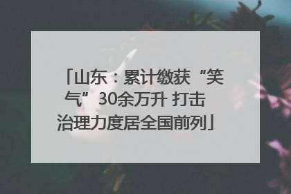 山东：累计缴获“笑气”30余万升 打击治理力度居全国前列