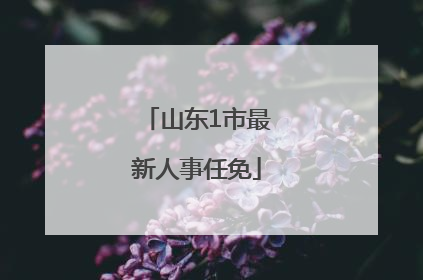 山东1市最新人事任免