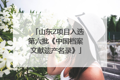 山东2项目入选第六批《中国档案文献遗产名录》