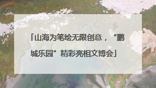 山海为笔绘无限创意，“鹏城乐园”精彩亮相文博会