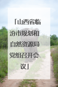 山西省临汾市规划和自然资源局党组召开会议