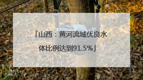 山西：黄河流域优良水体比例达到91.5%