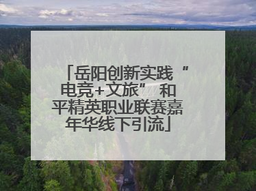 岳阳创新实践“电竞+文旅” 和平精英职业联赛嘉年华线下引流
