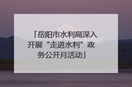 岳阳市水利局深入开展“走进水利”政务公开月活动