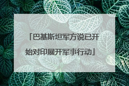 巴基斯坦军方说已开始对印展开军事行动