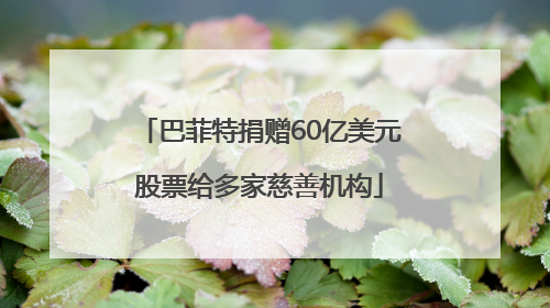 巴菲特捐赠60亿美元股票给多家慈善机构