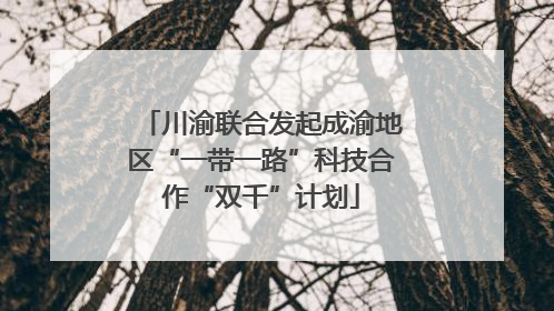 川渝联合发起成渝地区“一带一路”科技合作“双千”计划