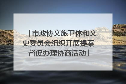 市政协文旅卫体和文史委员会组织开展提案督促办理协商活动
