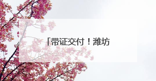 带证交付！潍坊潍城北关街道跑出服务项目加速度