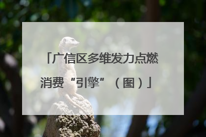 广信区多维发力点燃消费“引擎”（图）