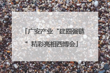 广安产业“建圈强链”精彩亮相西博会