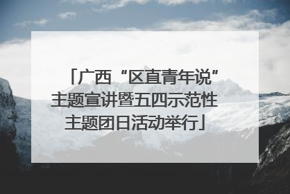 广西“区直青年说”主题宣讲暨五四示范性主题团日活动举行