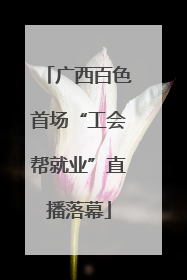 广西百色首场“工会帮就业”直播落幕
