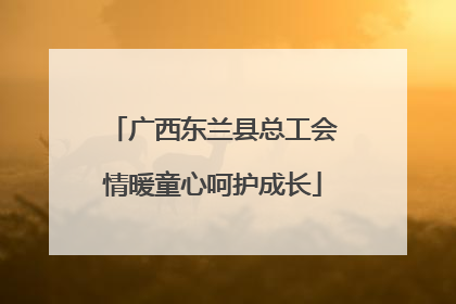广西东兰县总工会情暖童心呵护成长
