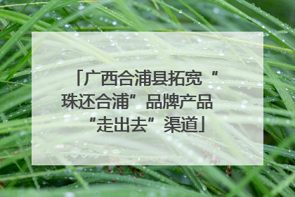 广西合浦县拓宽“珠还合浦”品牌产品“走出去”渠道