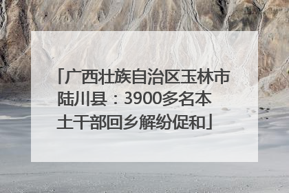 广西壮族自治区玉林市陆川县：3900多名本土干部回乡解纷促和