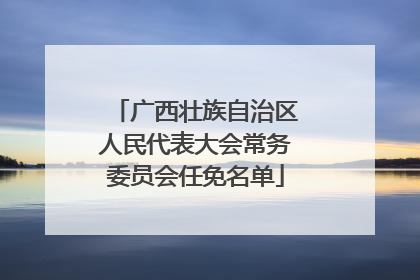 广西壮族自治区人民代表大会常务委员会任免名单