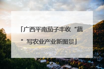 广西平南茄子丰收“蔬”写农业产业新图景