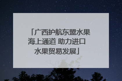 广西护航东盟水果海上通道 助力进口水果贸易发展