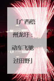 广西梧州龙圩：动车飞驰过田野