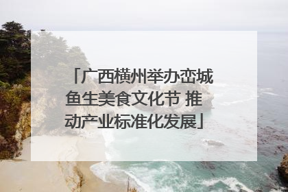 广西横州举办峦城鱼生美食文化节 推动产业标准化发展