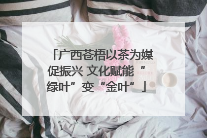 广西苍梧以茶为媒促振兴 文化赋能“绿叶”变“金叶”