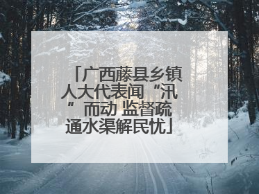 广西藤县乡镇人大代表闻“汛”而动 监督疏通水渠解民忧