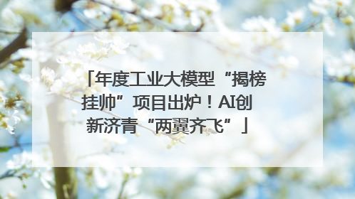 年度工业大模型“揭榜挂帅”项目出炉！AI创新济青“两翼齐飞”