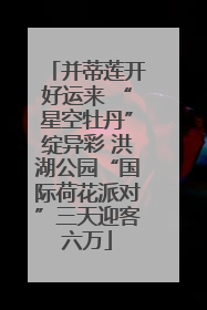 并蒂莲开好运来 “星空牡丹”绽异彩 洪湖公园“国际荷花派对”三天迎客六万