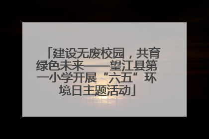 建设无废校园，共育绿色未来——望江县第一小学开展“六五”环境日主题活动