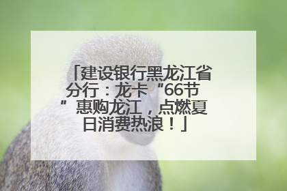 建设银行黑龙江省分行：龙卡“66节”惠购龙江，点燃夏日消费热浪！