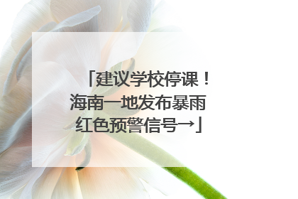 建议学校停课！海南一地发布暴雨红色预警信号→