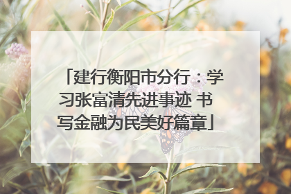 建行衡阳市分行：学习张富清先进事迹 书写金融为民美好篇章