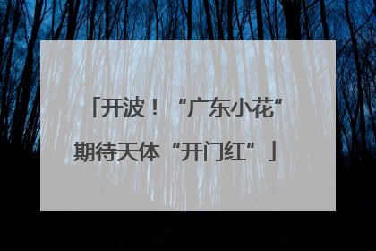 开波！“广东小花”期待天体“开门红”