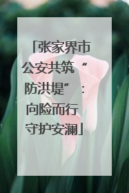 张家界市公安共筑“防洪堤”：向险而行 守护安澜