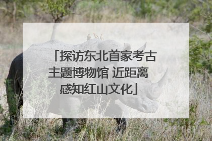 探访东北首家考古主题博物馆 近距离感知红山文化