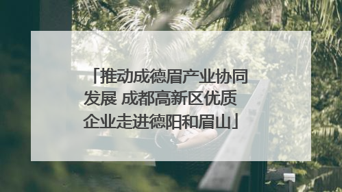 推动成德眉产业协同发展 成都高新区优质企业走进德阳和眉山