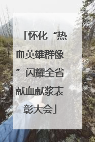 怀化“热血英雄群像”闪耀全省献血献浆表彰大会