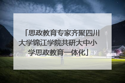 思政教育专家齐聚四川大学锦江学院共研大中小学思政教育一体化
